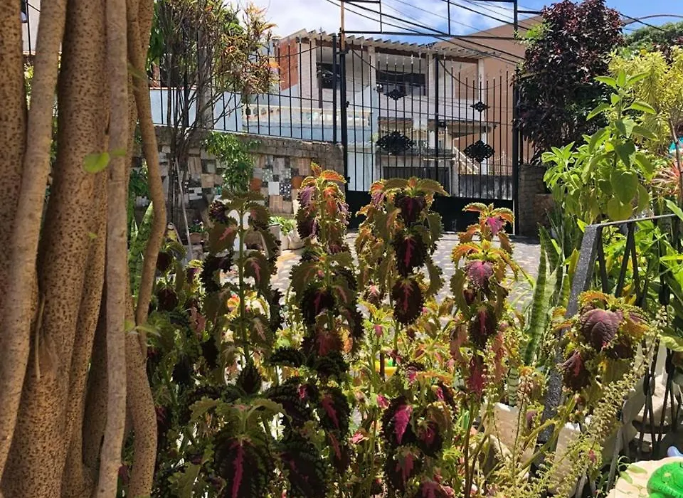 Hospedagem Minha Casa-1